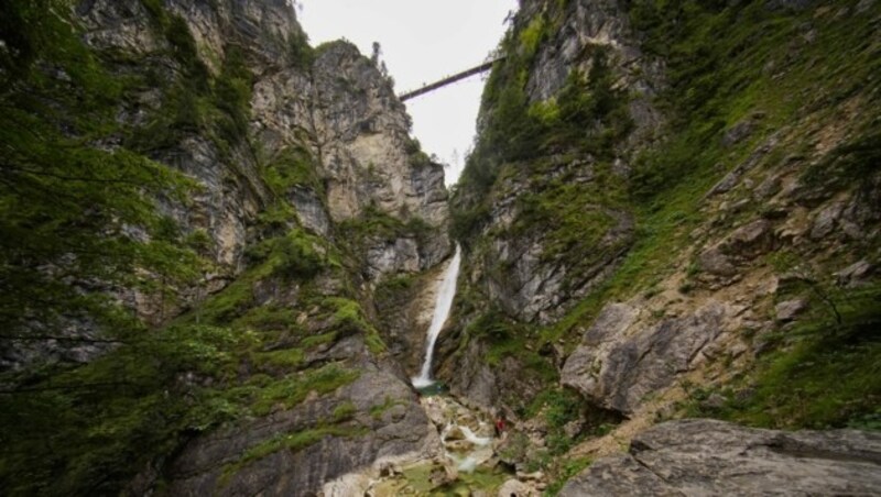 Der Mann soll die beiden Touristinnen in eine Schlucht nahe des Schlosses Neuschwanstein gestoßen haben. (Bild: stock.adobe.com)