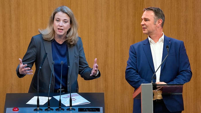 Beate Meinl-Reisinger and Andreas Babler