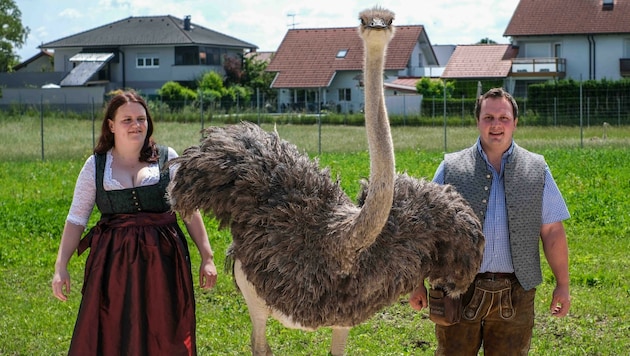 Michaela Schimek und Michael Eschlböck auf ihrer Straußenfarm. (Bild: Einöder Horst)