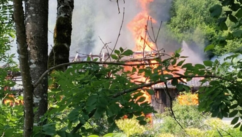 Die Einsatzkräfte bändigten schließlich die Flammen. (Bild: Peter Freiberger)