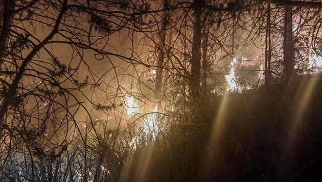 Das Feuer im Wald breitete sich sehr schnell aus. (Bild: Zeitungsfoto.at/Team)