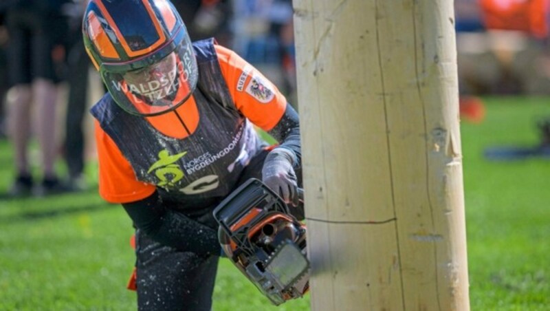 Julia Modl hat die Motorsäge im Griff. (Bild: Sebastian Marko / Limex Images)
