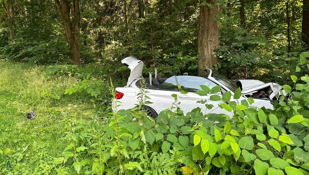 Die Lenkerin touchierte mehrere Bäume. (Symbolbild) (Bild: FF Obergralla)