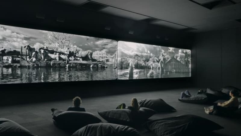 Beim Schauen des Films vom Richard Mosse (Bild: Richard Mosse, Jack Shainman, Carlier Gebauer)