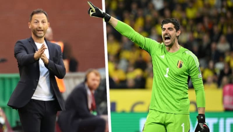 Domenico Tedesco (li.) und Thibaut Courtois (Bild: AP, APA/AFP/Jonathan NACKSTRAND)