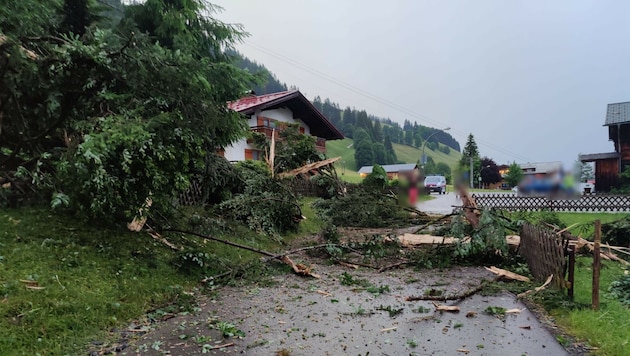 Blitzeinschlag in Mittelberg (Bild: Polizei Vorarlberg)