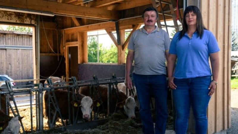Fritz Gillinger und Ruth Boßmann kritisieren die Wolfsverordnung in NÖ. (Bild: Attila Molnar)