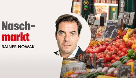 Kommentiert für die „Krone“: Rainer Nowak (Bild: Anika Groß, Krone KREATIV)