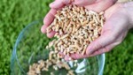 Pellets gerieten im Vorjahr aufgrund der Preissteigerungen in die Kritik. (Bild: Harald Dostal)