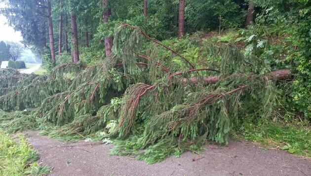 Wer haftet bei Wetterkatastrophen? (Bild: FF Glanegg-Maria Feicht)