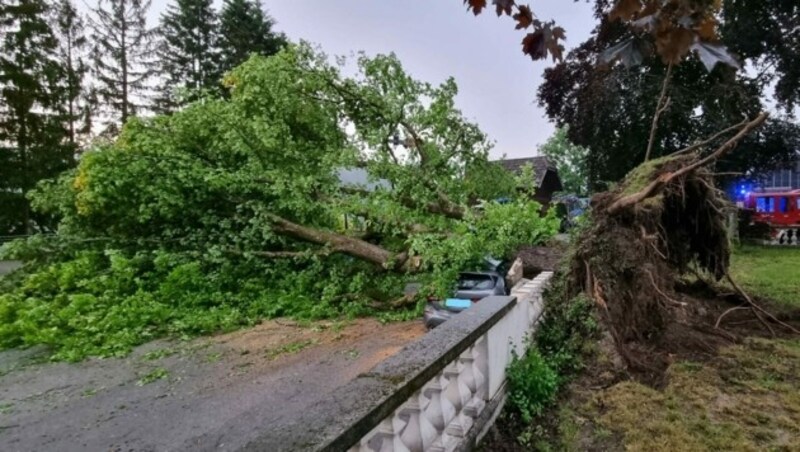 Die Einsatzkräfte in der Steiermark hatten mit einem umgestürzten Baum auf der Fahrbahn zu kämpfen. (Bild: APA/FF LANTSCHERN)