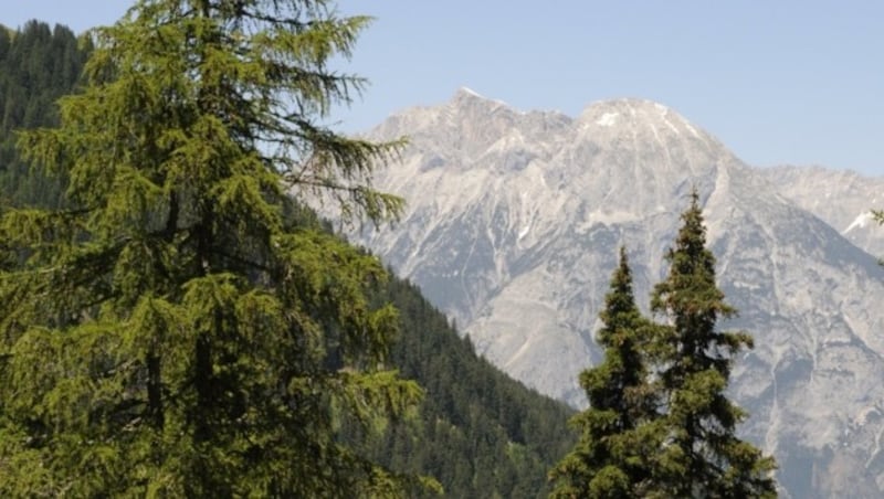 Beim Abstieg drückt sich die Hohe Munde ins Blickfeld (Bild: Peter Freiberger)