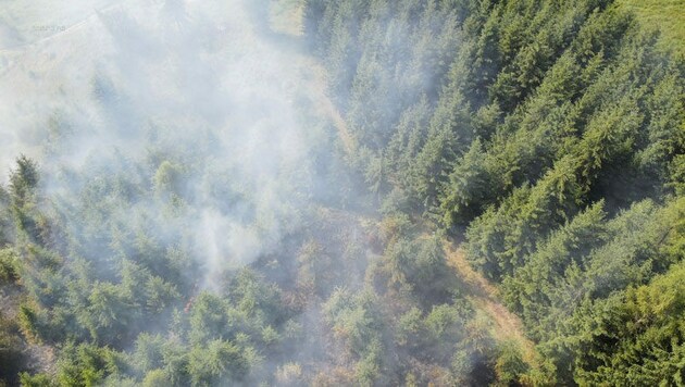 14 Feuerwehren mussten für den Waldbrand in Niederösterreich ausrücken. (Bild: Feuerwehr Waidhofen an der Thaya)