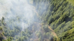 14 Feuerwehren mussten für den Waldbrand in Niederösterreich ausrücken. (Bild: Feuerwehr Waidhofen an der Thaya)