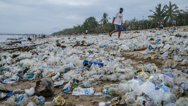 Aus einstigen Traumstränden wurden durch die Plastikflut lebensfeindliche Müllhalden.