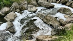 Ende Juni war der Wienfluss plötzlich voll weißem Schaum. (Bild: Birgit Tegtbauer)