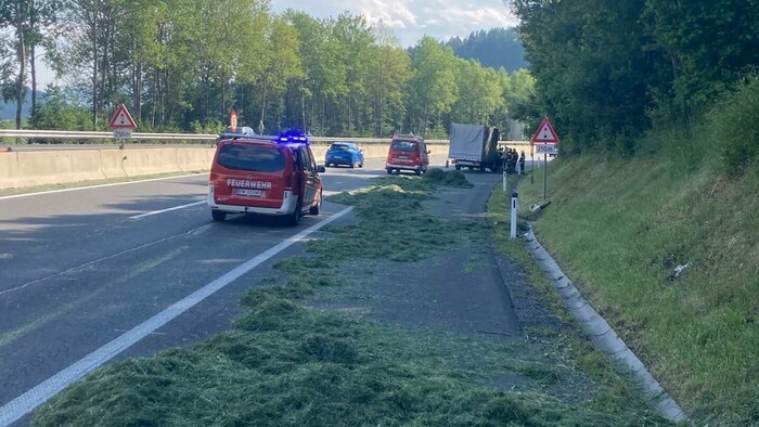 Die Feuerwehren Preitenegg und Bad St. Leonhard wurden zu dem ungewöhnlichen Unfall alarmiert.