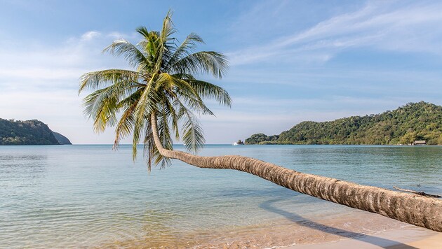 Einer der Steirer-Betrüger träumte von einem luxuriösen Leben im thailändischen Phuket. (Bild: stock.adobe.com, Krone KREATIV)