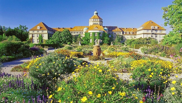 Der Botanische Garten zeigt sich mit voller Blütenpracht - im wörtlichen Sinn. (Bild: © München Tourismus, Bernd Römmelt)