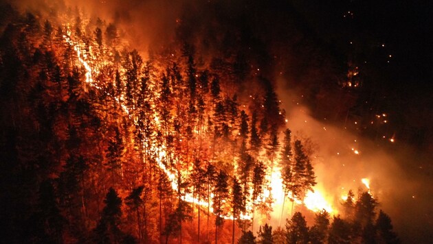 Die Ursache für den verheerenden Waldbrand in Hirschwang war nicht mehr feststellbar. (Bild: Einsatzdoku.at)