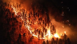 Die Ursache für den verheerenden Waldbrand in Hirschwang war nicht mehr feststellbar. (Bild: Einsatzdoku.at)