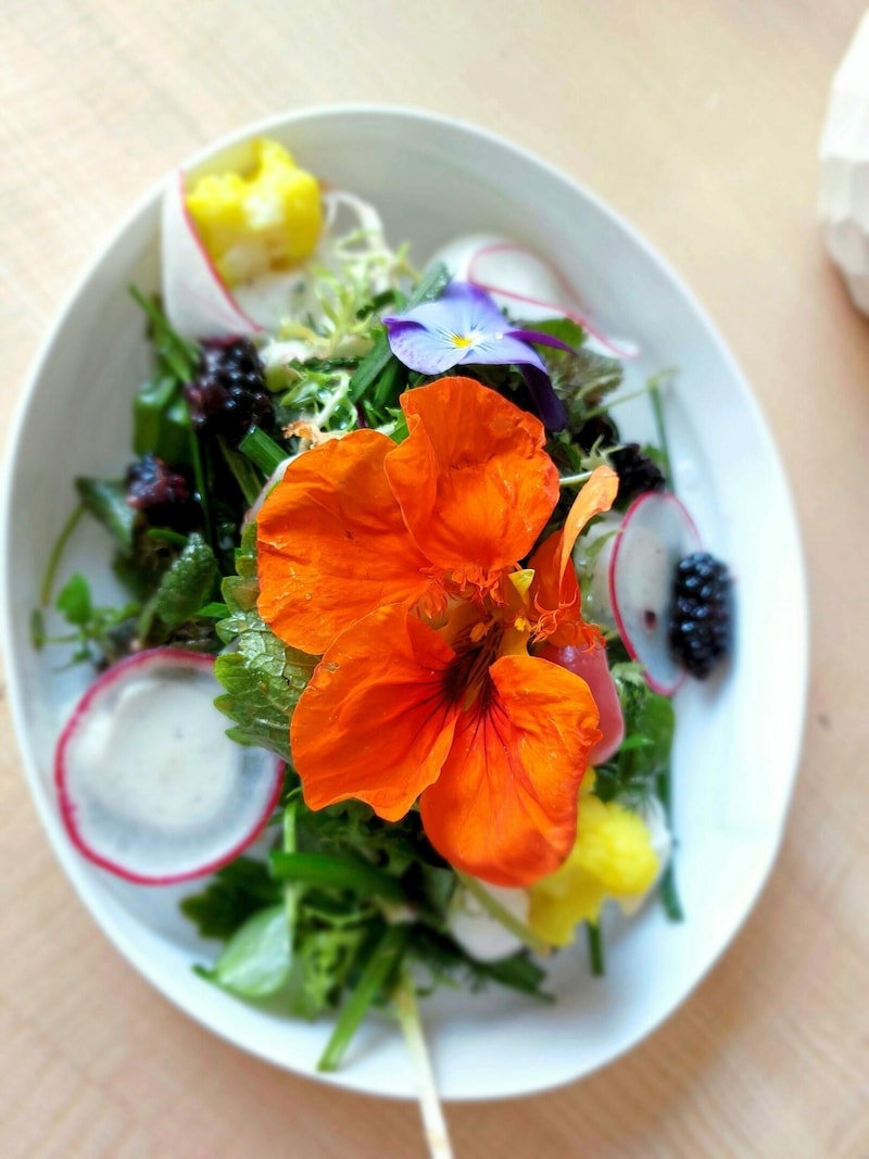 Es blüht auch vielerorts auf den Tellern, wie hier im Restaurant AMARi. (Bild: Elisabeth Salvador)