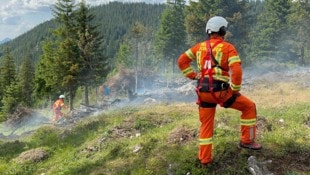 Wegen anhaltender Trockenheit herrscht große Waldbrandgefahr (Archivbild). (Bild: zoom.tirol, Krone KREATIV)