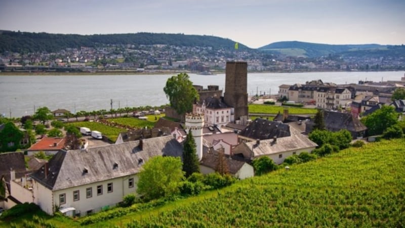 Tag 7, Mittelrheintal - Rüdesheim (Bild: Julian Hacker)