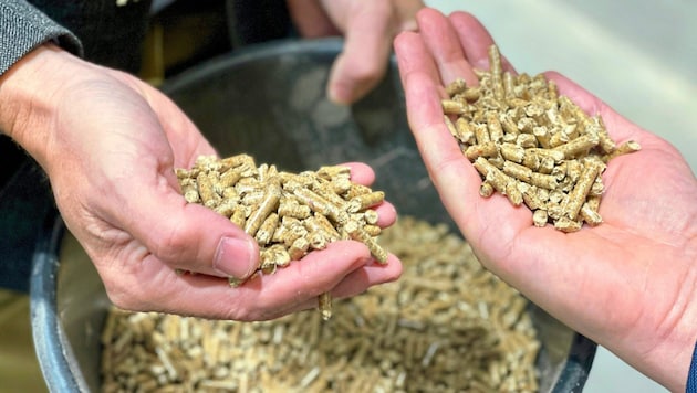 In Oberösterreich werden derzeit rund 42.000 Pellets-Öfen befeuert, die Anzahl der Ölheizungen sank von 115.000 Stück im Jahr 2019 auf aktuell unter 80.000 Anlagen. (Bild: Pro Pellets)