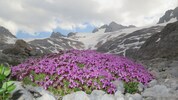 Das ewige Eis am Dachstein wird in 15 bis 25 Jahren verschwunden sein. Zehn Zentimeter pro Tag ...
