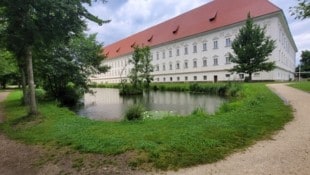 In diesem Park wurde die alte Granate gefunden.