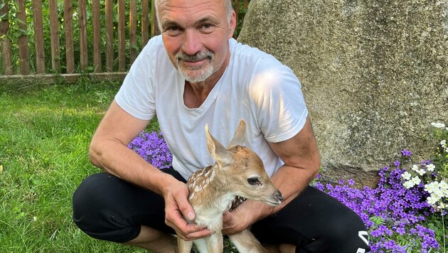 Ein Bild aus besseren Tagen: Martin Hampel hatte das Damwild-Baby „Anton“ gerettet, nachdem es von seiner Mutter verstoßen worden war. Jetzt starb das Junge - woran, ist noch unklar. (Bild: René Denk)