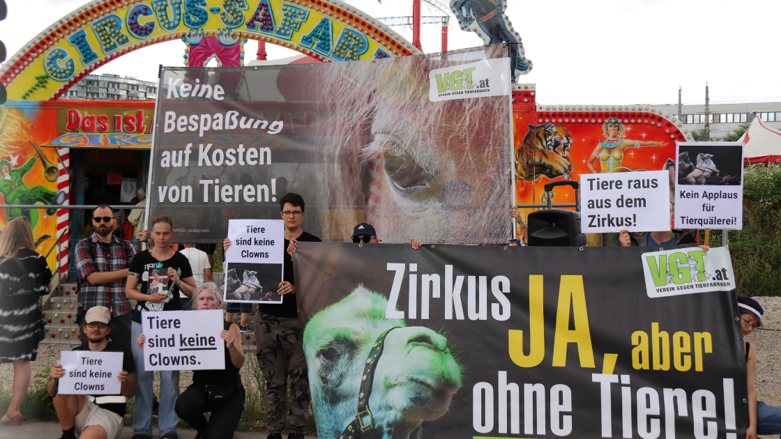 Der Tierschutzverein demonstrierte am Mittwoch zum wiederholten Male vor dem Circus Safari. (Bild: Verein gegen Tierfabriken Twitter)
