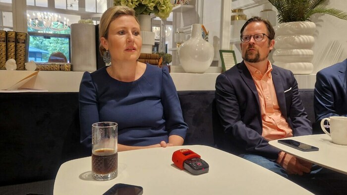 Ministerin Susanne Raab beim Pressestatement in einem Pariser Hotel