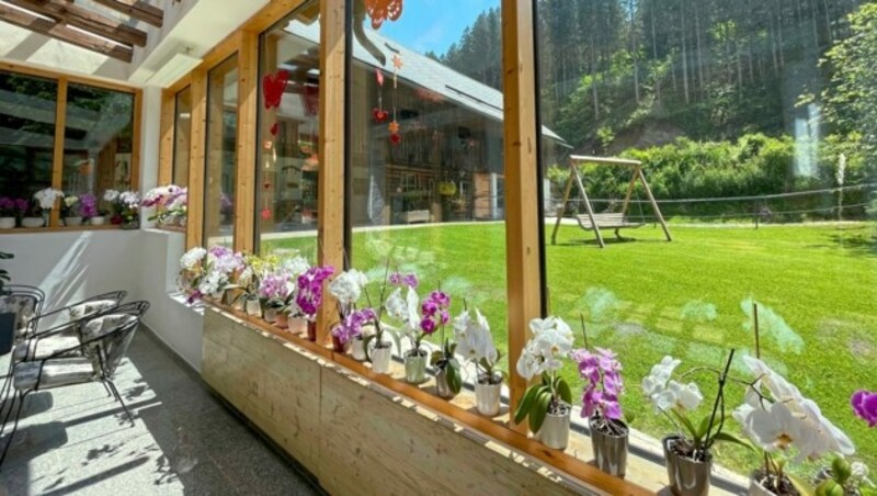Der große Aufenthaltsraum für die Gäste wird von Orchideen geziert. (Bild: Hronek Eveline)