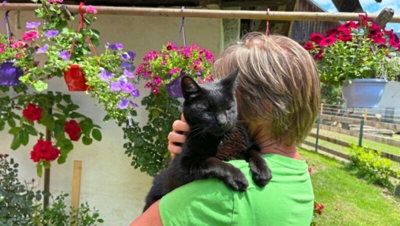Kater Kiro liebt es, zu kuscheln. (Bild: Hronek Eveline)