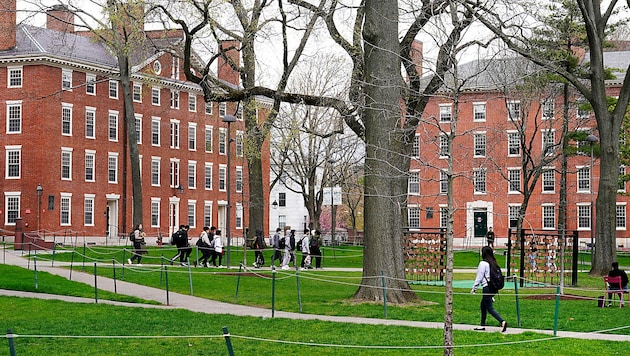 Harvard Egyetem (Bild: AP)