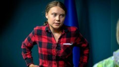 Greta Thunberg ist Mitglied einer Umwelt-Arbeitsgruppe, die kriegsbedingte Umweltschäden in der Ukraine dokumentieren soll. (Bild: AP)