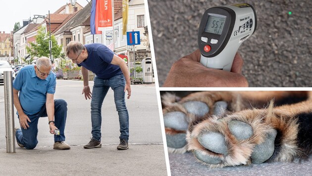 Der 55 Grad heiße Asphalt schadet Pensionisten und Tieren besonders. Seniorensprecher Gerhard Stanik und Arzt Günter Widhalm (re.) von den Grünen schlagen Alarm. (Bild: Klaus Schindler, Grüne Zwettl/zVg, Krone KREATIV)