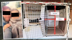 Sabine K. und Regine G. stehen unter dem dringenden Verdacht des versuchten Mordes. Rechts: Das Gefängnis des Opfers - eine Hunde-Box. (Bild: zVg, Krone KREATIV)