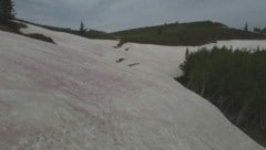 In Teilen der Berge im US-Bundesstaat Utah sorgt derzeit rosa gefärbter Schnee für Staunen. (Bild: kameraOne)