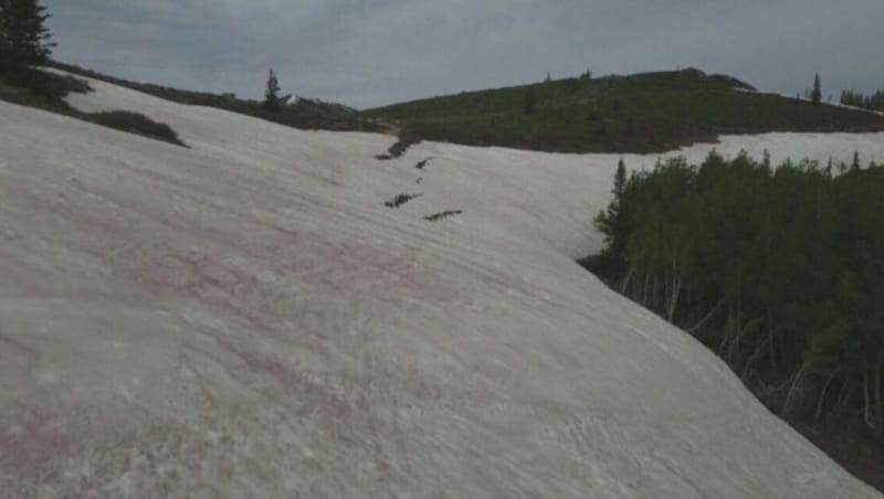 In Teilen der Berge im US-Bundesstaat Utah sorgt derzeit rosa gefärbter Schnee für Staunen. (Bild: kameraOne)