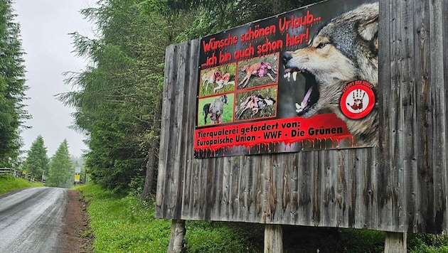Dieses Wolfplakat auf dem Stubeck sorgte für Aufsehen. (Bild: zvg)