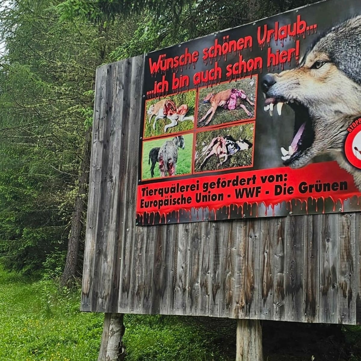 Touristiker entsetzt: Ein Wolfsplakat macht Urlaubern Angst! | krone.at