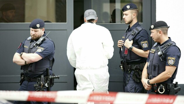 (Bild: APA/TOBIAS STEINMAURER)