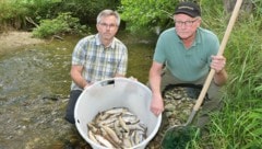 „Es ist ein Schaden, der noch Jahre nachwirkt“, Rudolf Zöls (re.) ist einer von vier geschädigten Besitzern und Leiter des Fischreviers. Am Dienstag wurden wieder zig erstickte Fische aus der Antiesen geborgen. Sie werden auch untersucht, damit es eine finanzielle Entschädigung geben kann. (Bild: Manfred Fesl)