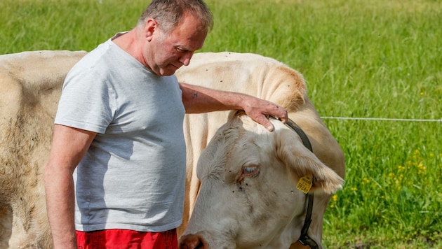 Ernst Hetz besitzt Milchkühe und weiß, wie man sich richtig verhält. (Bild: Tschepp Markus)