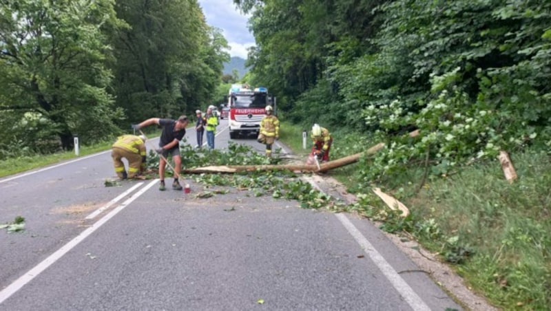 Die Tiroler Feuerwehr hielt Überflutungen und ein umgestürtzter Baum in Atem. (Bild: zoom.tirol)