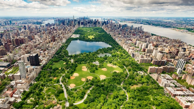 Die grüne Lunge New Yorks: der Central Park mit einer Größe von 340 ha. (Bild: Antonio Lopez 2017)