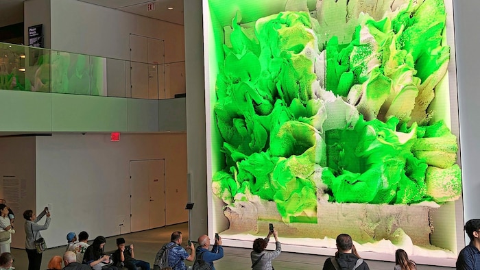 Museum of Modern Art (MoMA)